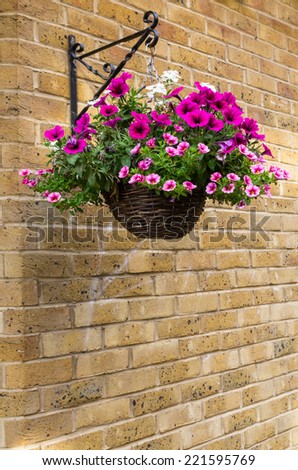 Hanging-baskets Stock Images, Royalty-Free Images & Vectors | Shutterstock