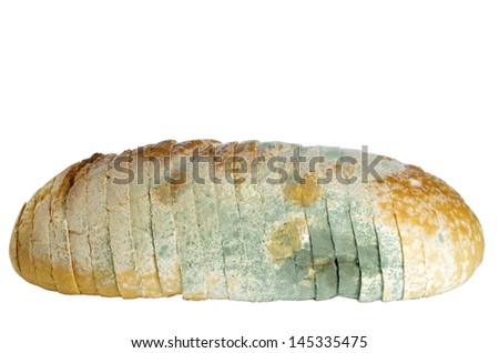 stock-photo--not-fresh-mouldy-bread-on-white-background-145335475.jpg