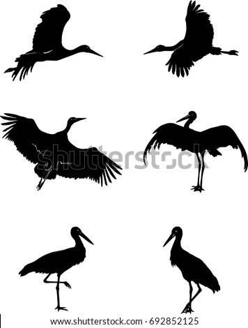 Stork Stock Images, Royalty-free Images & Vectors 