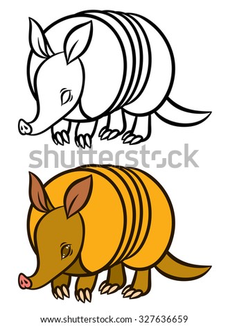Armadillo Stock Photos, Images, & Pictures | Shutterstock