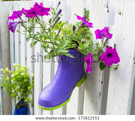 Flowers in Boots - stock photo