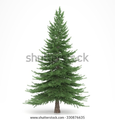 Fir-tree Stock Images, Royalty-Free Images & Vectors | Shutterstock