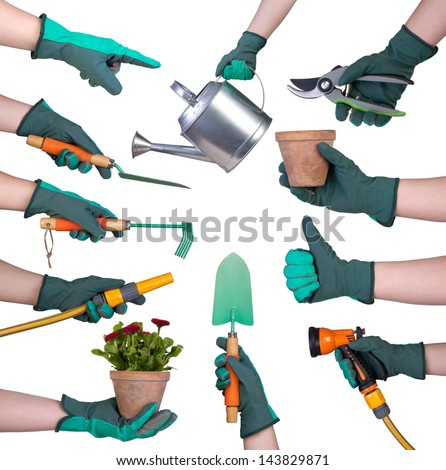 Hand in a glove holding gardening tools isolated on white background ...