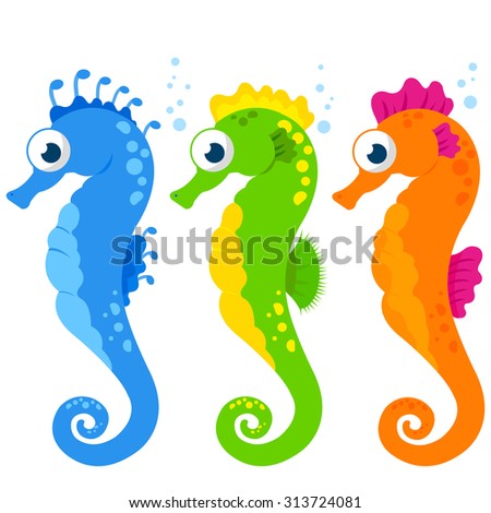 Horsefish Stock Images, Royalty-Free Images & Vectors | Shutterstock