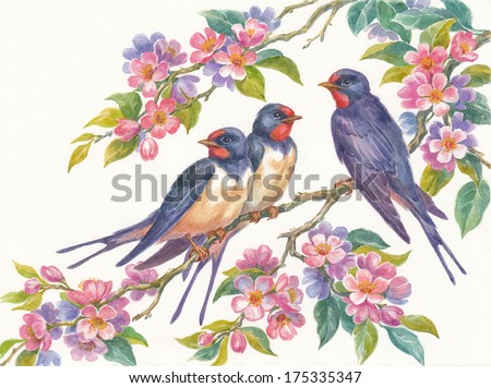Лучшие изображения (706) на доске «Aves y Flores» en Pinterest