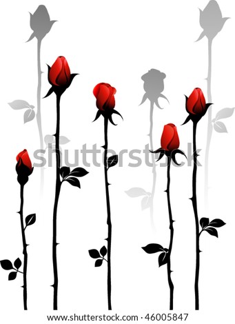 Rose Thorns Stock Photos, Images, & Pictures | Shutterstock