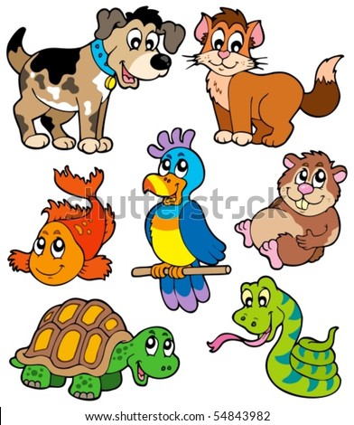 Turtle Cartoon Stock Photos, Images, & Pictures | Shutterstock