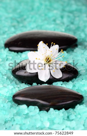 Spa-supplies Stock Images, Royalty-Free Images & Vectors | Shutterstock
