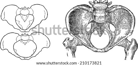 READ ONLINE http://wwwinformatorkrcom/download/hole-39-s