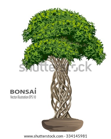 Bonsai Icon Stock Vector 235943764 - Shutterstock