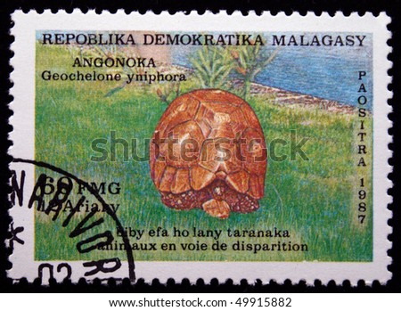 a description of madagascar formally called the malagasy republic D malagasy political institutions and the “untamed presidency” madagascar is a democratic republic: each of its three republics have the sections above have provided a description of the way formal authority has been called “big families,” parts of civil society (particularly churches), and the. a description of madagascar formally called the malagasy republic D malagasy political institutions and the “untamed presidency” madagascar is a democratic republic: each of its three republics have the sections above have provided a description of the way formal authority has been called “big families,” parts of civil society (particularly churches), and the.