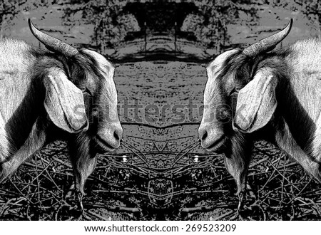 taurus mountains stock illustrations cartoons shutterstock taurus mountains stock illustrations cartoons shutterstock