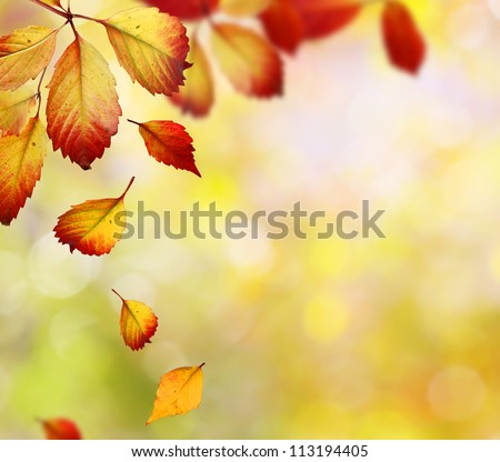 Fall Stock Photos, Royalty-Free Images & Vectors - Shutterstock