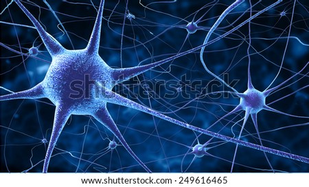 Nerve Stock Images, Royalty-Free Images & Vectors | Shutterstock