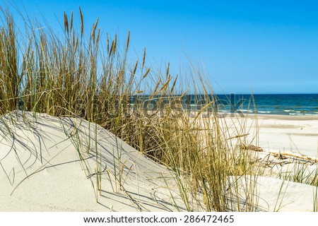 Sand Dune Water Grass Stock Photos, Images, & Pictures ...