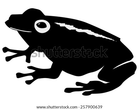 Frog Silhouette Stock Photos, Images, & Pictures | Shutterstock