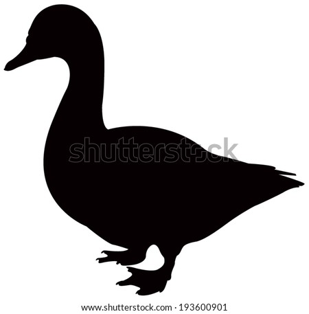 Duck silhouette Stock Photos, Images, & Pictures | Shutterstock