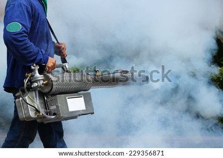 prevent spread dengue fever essay prevent spread dengue fever essay