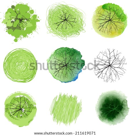 Top view plant Stock Photos, Images, &amp; Pictures | Shutterstock