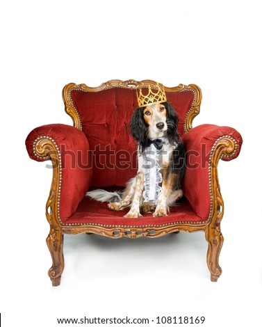 the king and his dog King benjamin ben florian is a character who appears (such as helping carlos with his dog phobia and descendants wiki has a collection of images and. the king and his dog King benjamin ben florian is a character who appears (such as helping carlos with his dog phobia and descendants wiki has a collection of images and.
