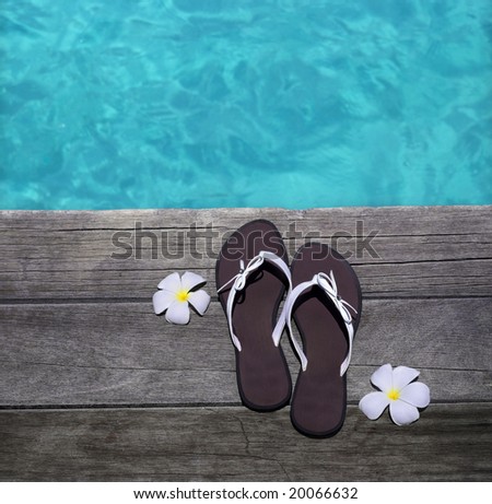 women sandals on wooden floor with flowers near the water, summer ...
