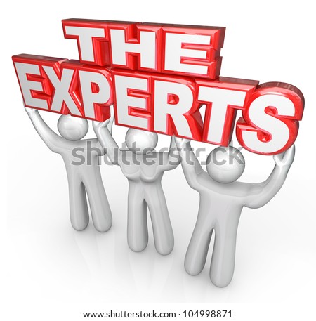 The Expert [1995]