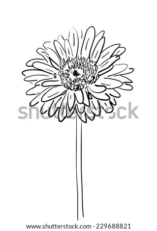 Flowers Sketches Stock Vectors & Vector Clip Art | Shutterstock