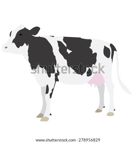 Black White Cow Vector Illustrator Stock Vector 62233372 - Shutterstock