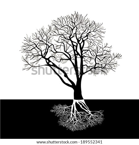 Roots Underground Stock Photos, Images, & Pictures | Shutterstock