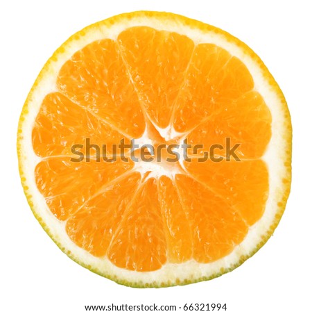 juicy oranges isolated on white juicy oranges isolated on white