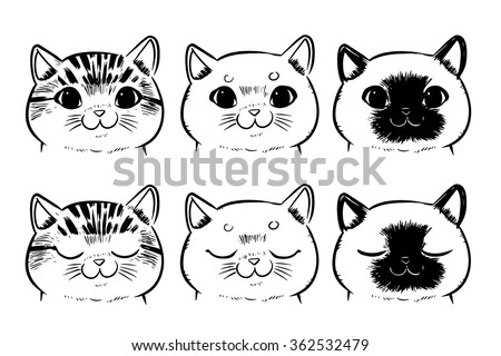 Cat Face Stock Photos, Images, & Pictures | Shutterstock