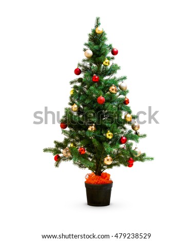 Trees Stock Images, Royalty-Free Images &amp; Vectors | Shutterstock