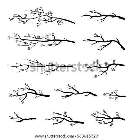 Collection of tree branches and blooming sakura twigs. Black silhouettes isolated on white background. Collection of tree branches and blooming sakura twigs. Black silhouettes isolated on white background.