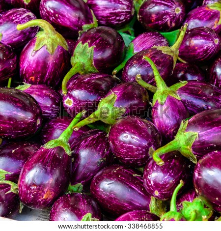 Brinjal Stock Images, Royalty-free Images & Vectors 