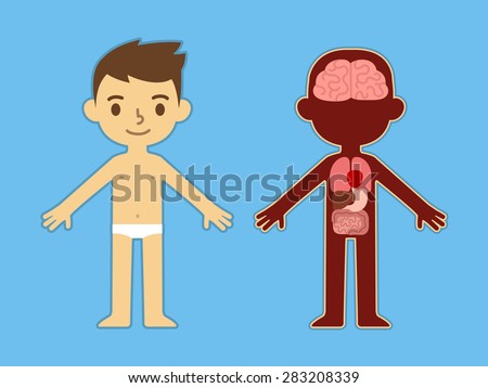 Anatomy Stock Photos, Images, & Pictures | Shutterstock