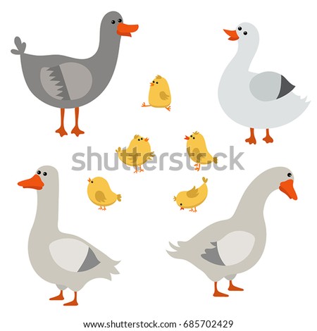 Geese Stock Images, Royalty-Free Images & Vectors | Shutterstock