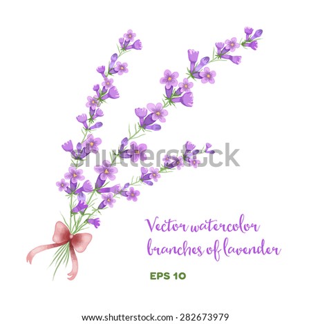 Lavender Elegant Card Frame Flowers Text Stock Vector 348755546