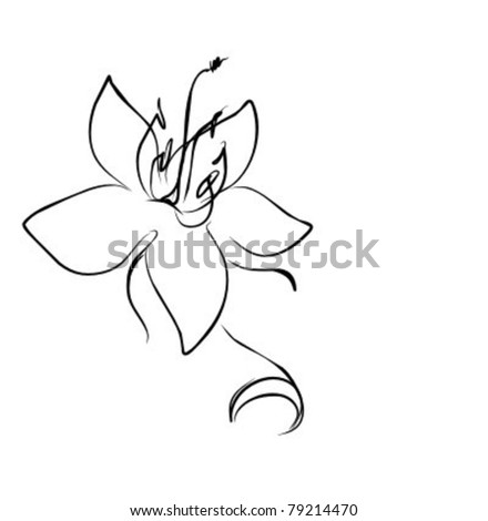 Flower Line Drawing Stock Photos, Images, & Pictures | Shutterstock