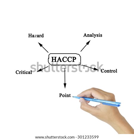 essay point of origin essay point of origin