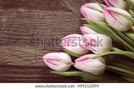 Stock Images, Royalty-Free Images & Vectors | Shutterstock