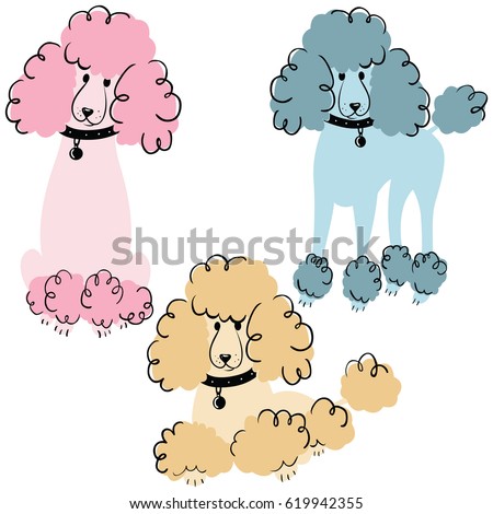 Poodle Stock Images, Royalty-Free Images & Vectors | Shutterstock