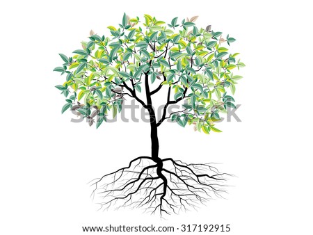 Tree Roots Stock Photos, Images, & Pictures | Shutterstock