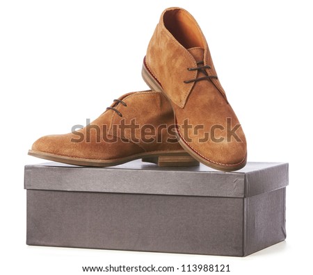 fancy brown shoes