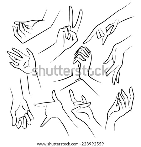 Woman Hand Palm Stock Photos, Images, & Pictures | Shutterstock