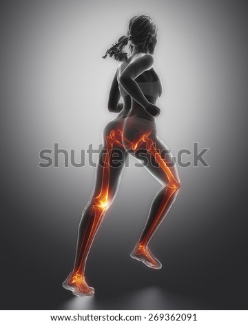 Female anatomy Stock Photos, Images, & Pictures | Shutterstock