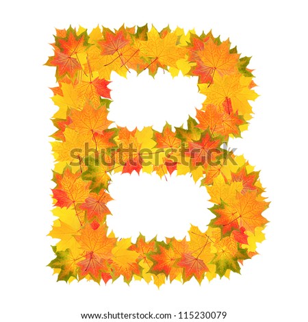 Autumn Fall Leaves B Stock Photos, Images, & Pictures | Shutterstock