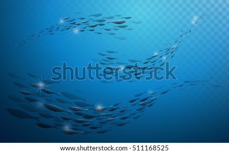 School of fish, underwater world background for design. School of fish, underwater world background for design.