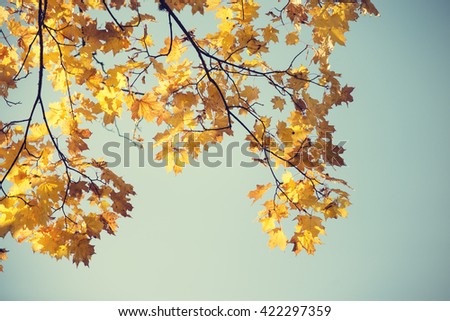 Yury Zap's Portfolio on Shutterstock