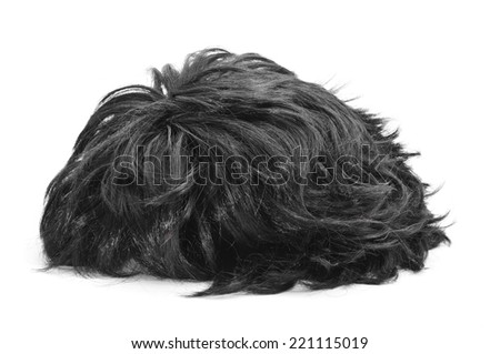 Hairpiece Stock Images, Royalty-Free Images & Vectors | Shutterstock