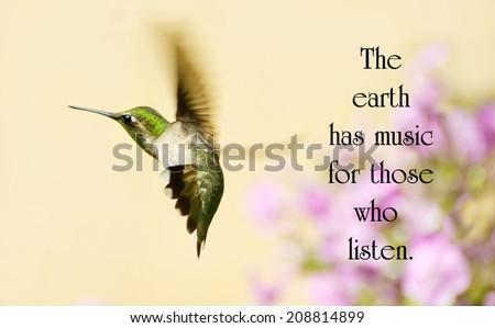 KellyNelson's Portfolio on Shutterstock KellyNelson's Portfolio on Shutterstock